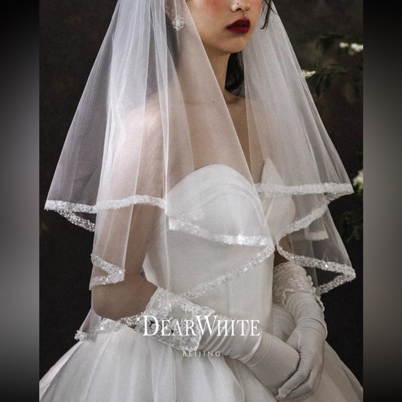 Veil - Picture 3 of 3